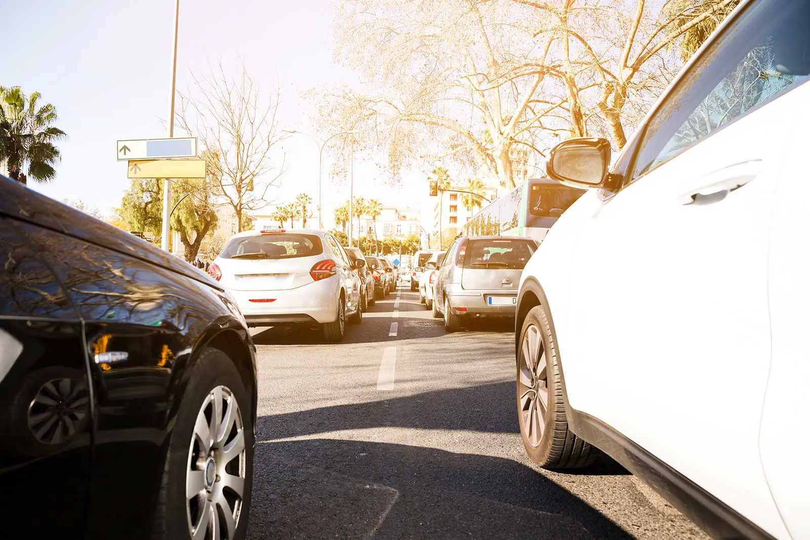 Different-Types-of-Auto-Insurance-Coverage-What-You-Need-to-Know